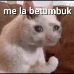 me la betumbuk