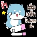 แมวนานาประเภท