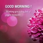 good morning