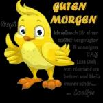 Guten Morgen mein Freunde