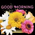 rise and shine🌞🌞🌞😘😘😘