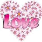 mana lain? masuk. masuk!