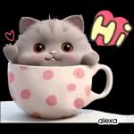 Funny Cat Stickers