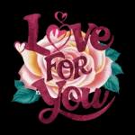 love you like crazy