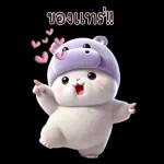 แมวฮิปโปสุดน่ารัก : คุยกันทุกวัน(BIG)