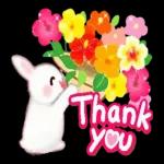 OK, thank you