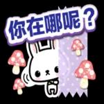 小兔子3D貼紙:很可愛哦