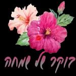 חמדמגים