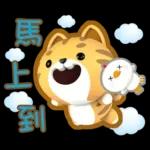 閃亮的日子=椪柑=