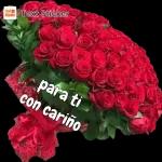 flores