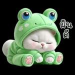 ข้าวต้ม ชุดกบ หน้าบูด