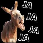 Baia Baia.