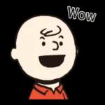 Good Grief, Charlie Brown