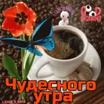 Спаси и сохрани!!!