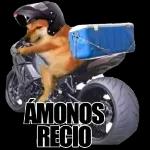 Rápido patricio, anota eso