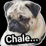 & Que tengas un día maravilloso