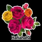 flower🌸 🌹 🌺 