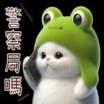 青蛙喵喵♡實用日常