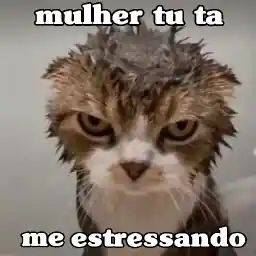 RJ3gQZ