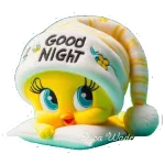 BUENAS NOCHES