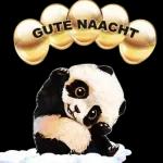 Gute Nacht