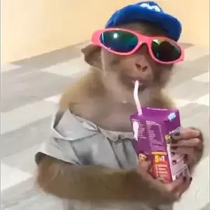 BzdfOl