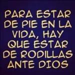 los