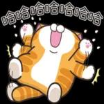 白烂猫   😎😎