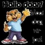 Mooi dag vir jou!