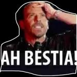 AH BESTIA! 