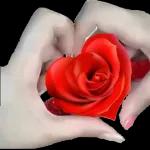 SUPER