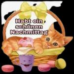  Grüße wünsche euch ohne Sorgen