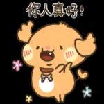 貴賓狗妞妞-好禮貌好親切