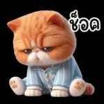 แมวขี้โมโหในชุดนอนสีอ่อน