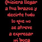 te adoro mio