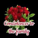 flower🌸 🌹 🌺 