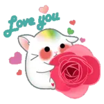 I love you
