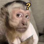 Mis ojitos están enamorados de los tuyos.