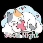 i can't sleep tonight😘😘😘