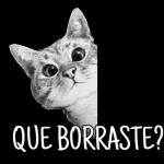 Que Borraste