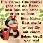 Guten Morgen Einen wunderschönen Tag