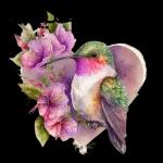 جمعة مباركة