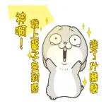 今日爆款貼圖都在這裡🔥