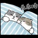 愛撒嬌的奶油小生 (虎斑貓)