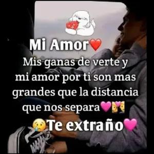 Mi Amor Mis ganas de verte y mi amor por ti son mas grandes que la distancia que nos separa Te extraño  - getsticker.com