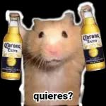 cerveza 