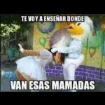 para toda ocasión 2