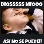 amor 