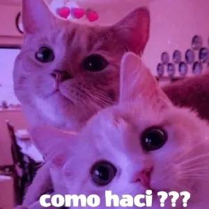 como haci ??? - getsticker.com