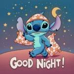 Stitch's lovely night